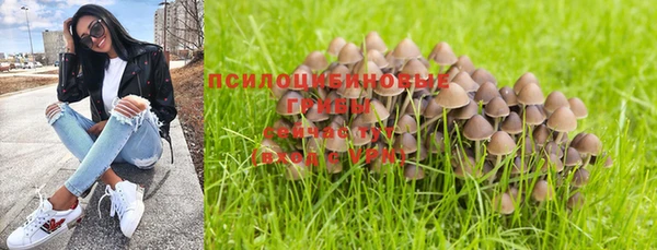 Альфа ПВП Алексеевка